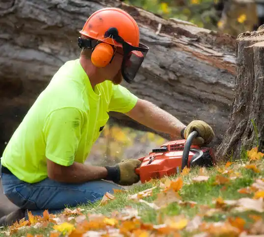 tree services Calvert City